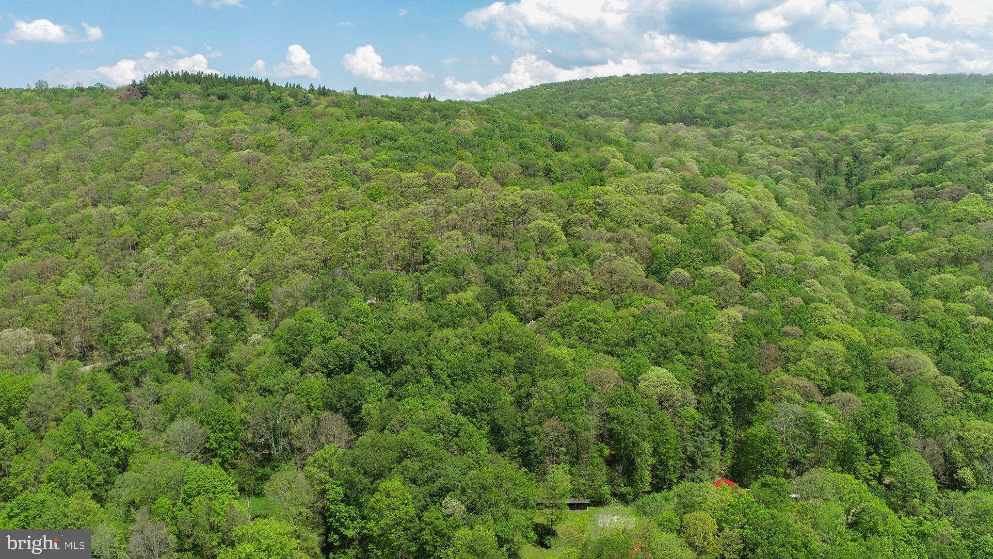 BEAR CREEK - Residential