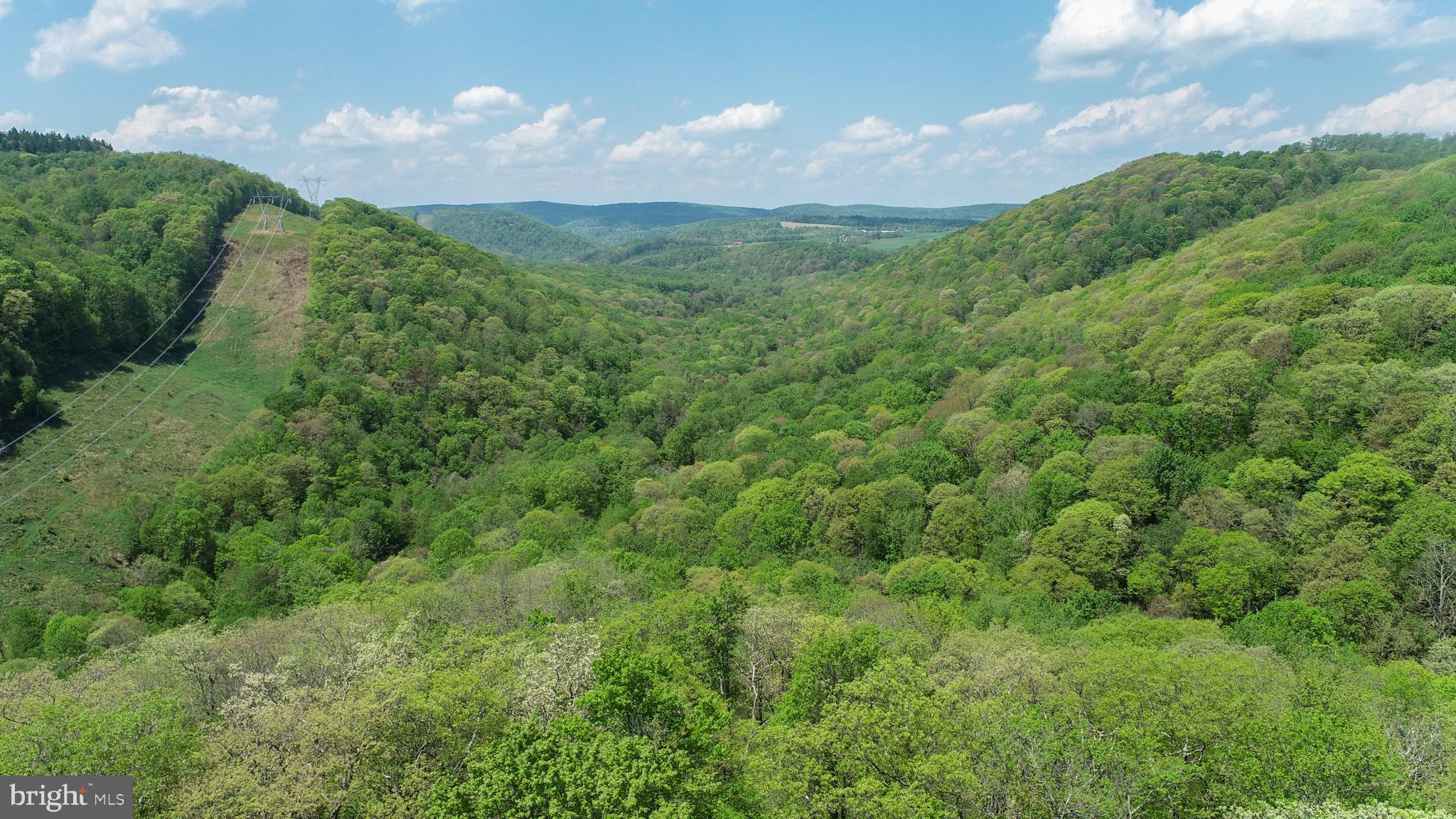 BEAR CREEK - Residential