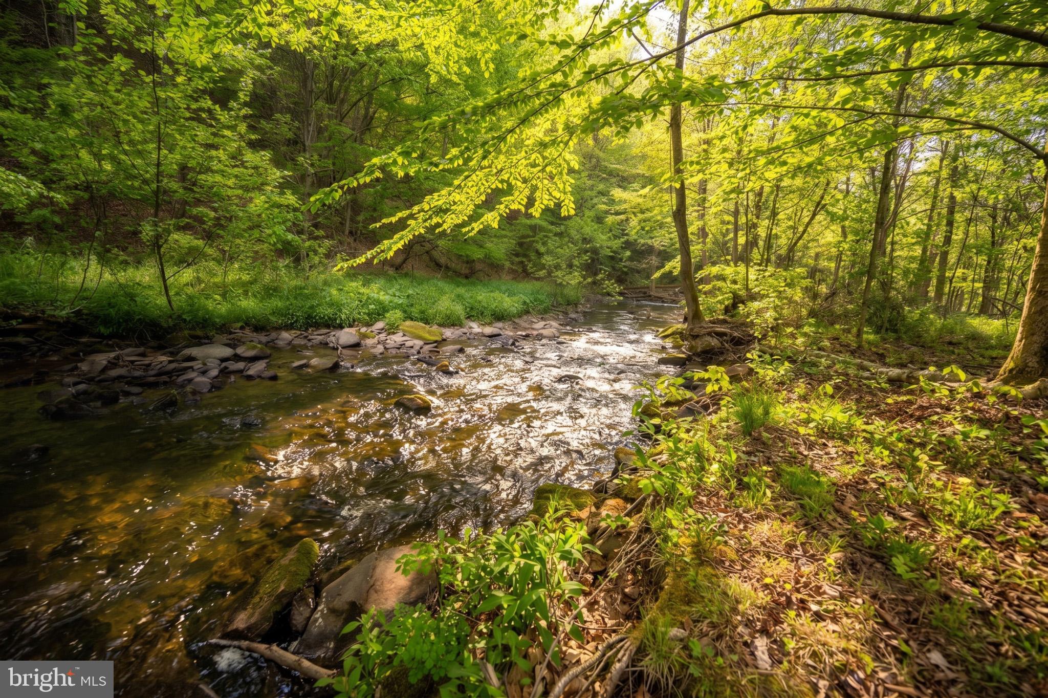 BEAR CREEK - Residential