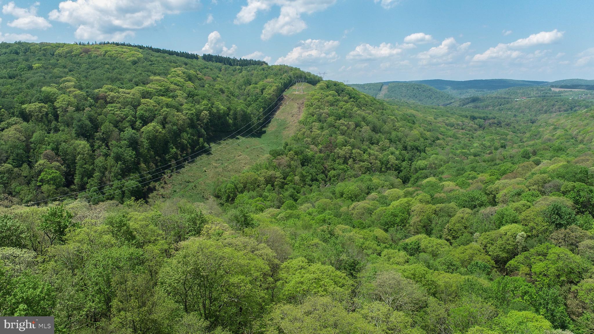 BEAR CREEK - Residential