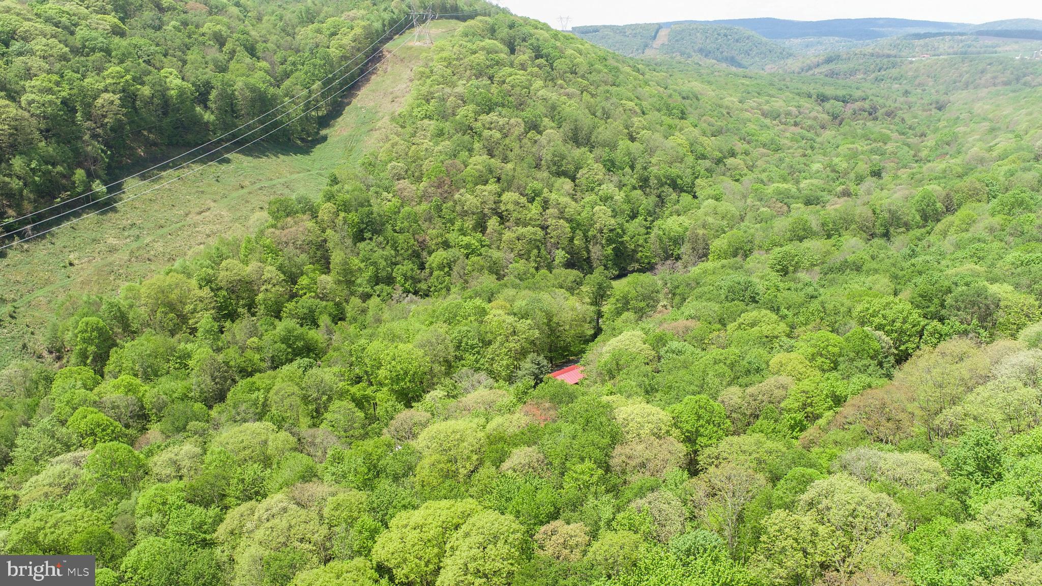 BEAR CREEK - Residential