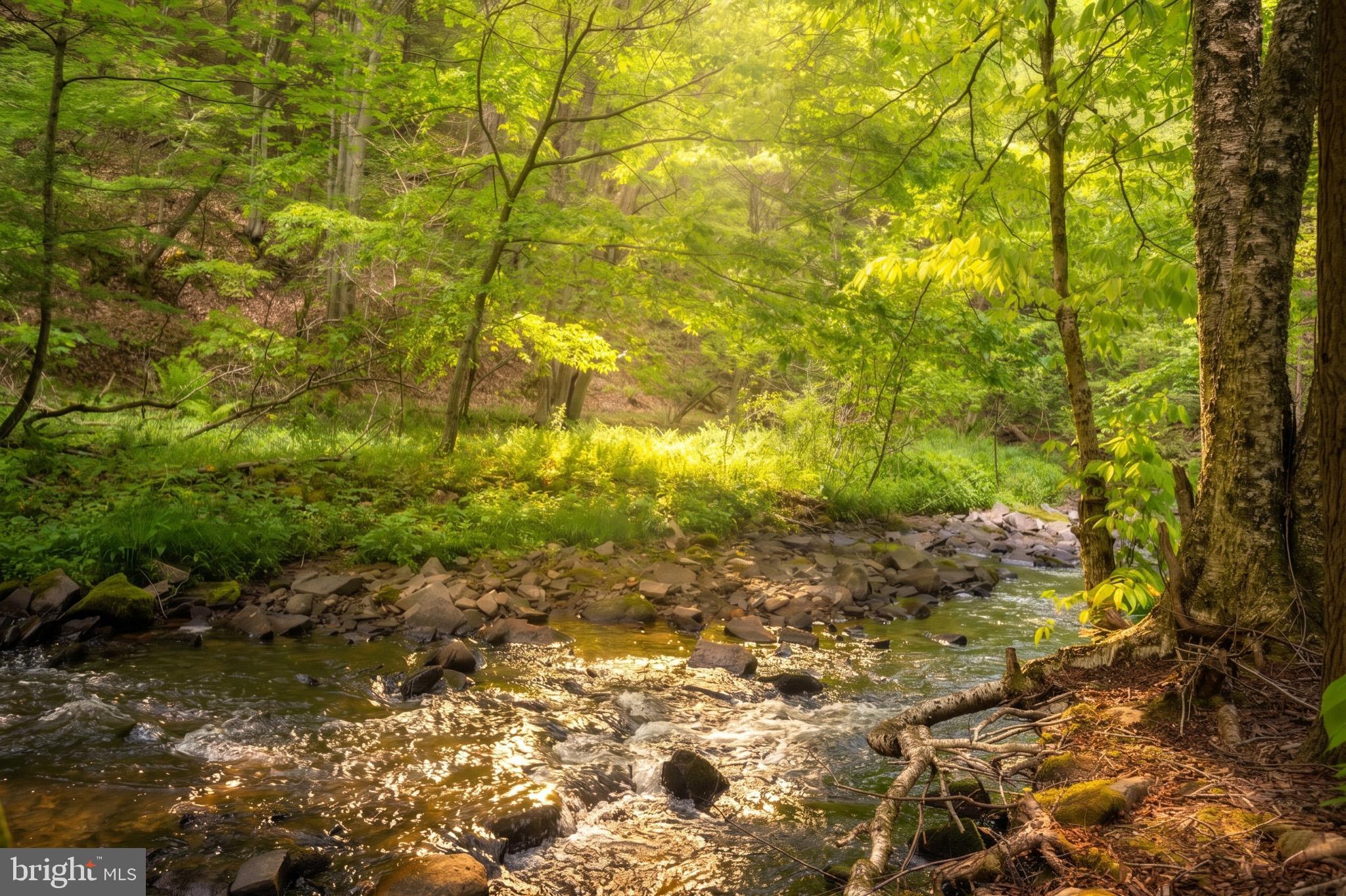 BEAR CREEK - Residential