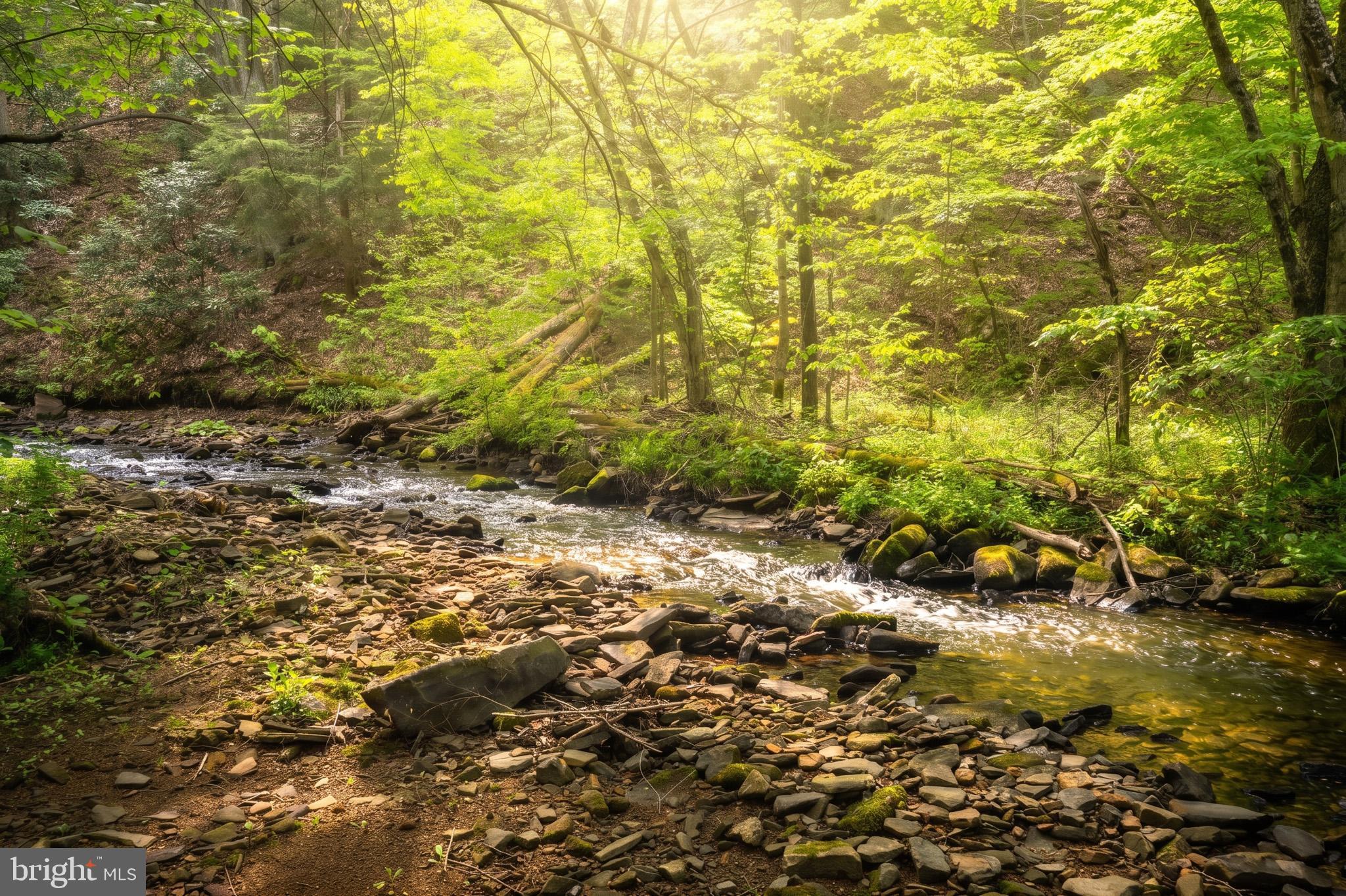 BEAR CREEK - Residential