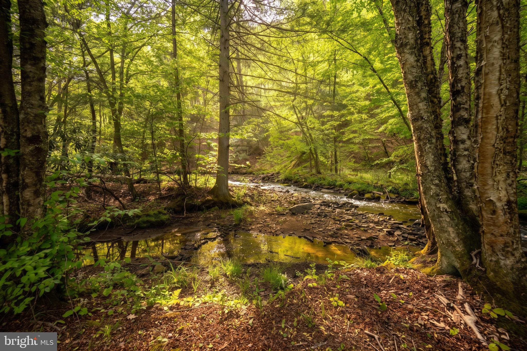 BEAR CREEK - Residential