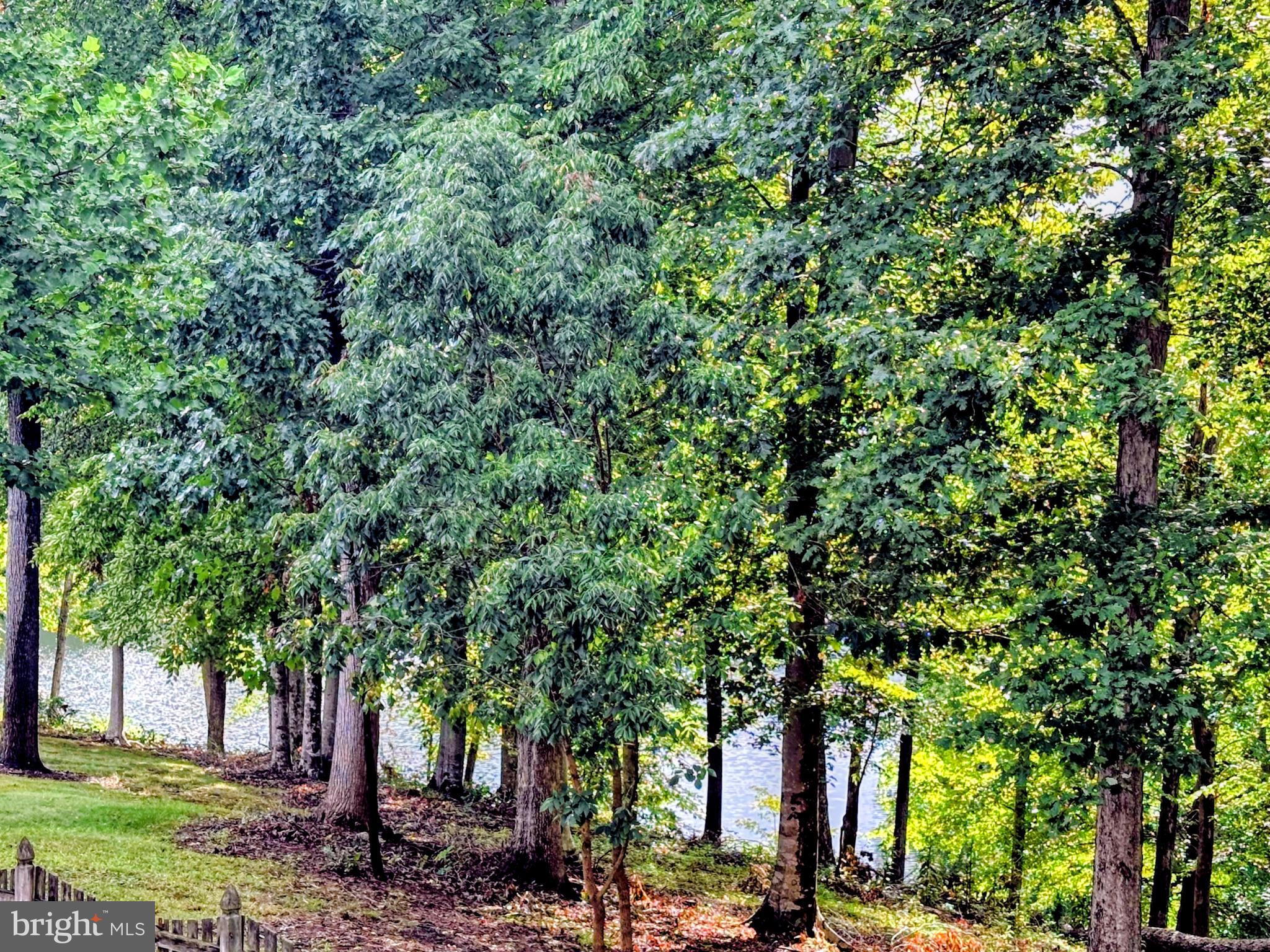 SMITH LAKE ESTATES - Residential