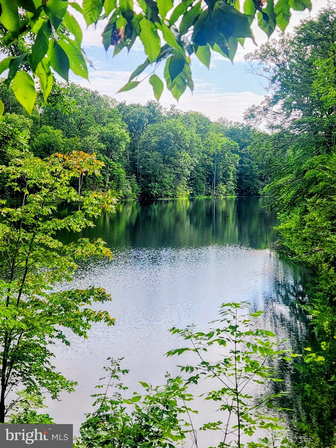SMITH LAKE ESTATES - Residential