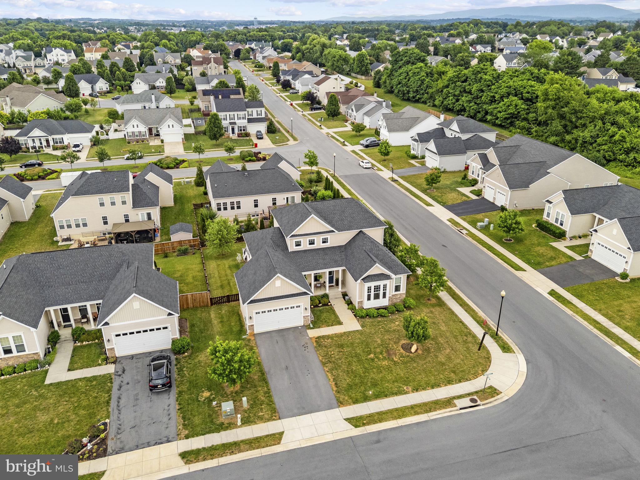 NORBORNE GLEBE - Residential
