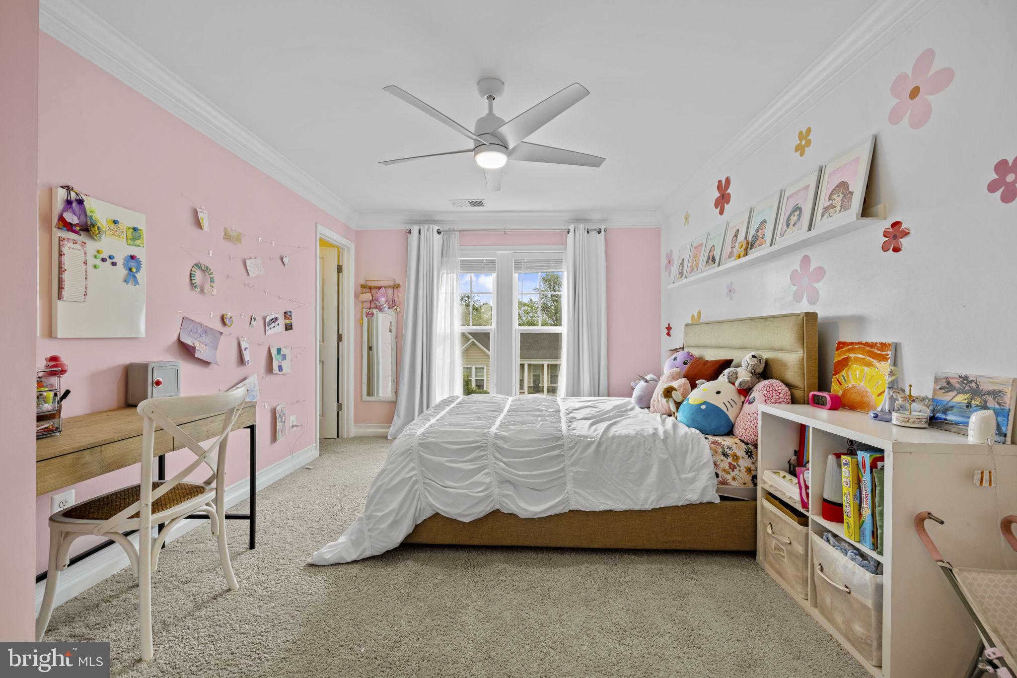 NORBORNE GLEBE - Residential