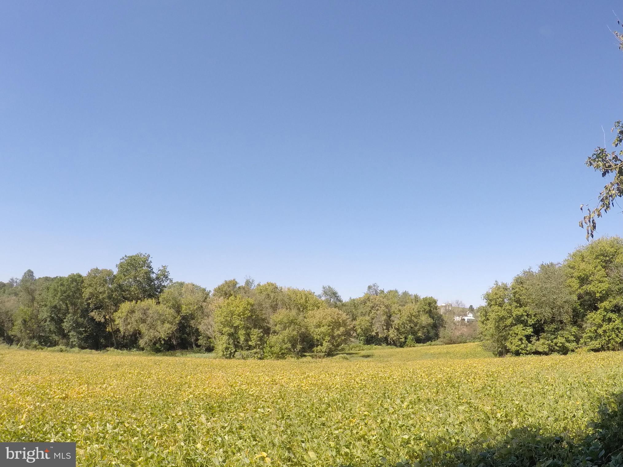 WESTERN RUN VALLEY - Land