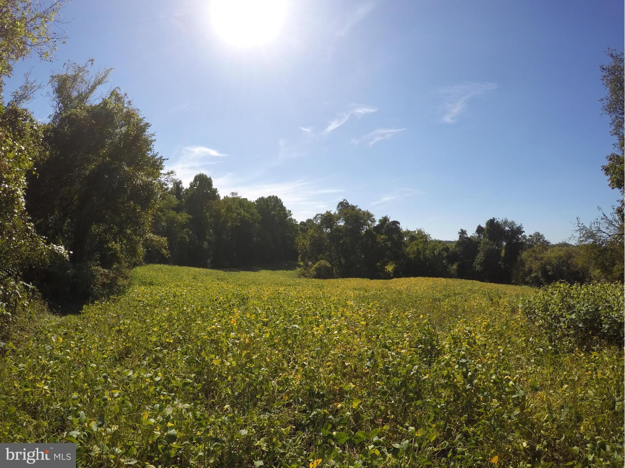 WESTERN RUN VALLEY - Land