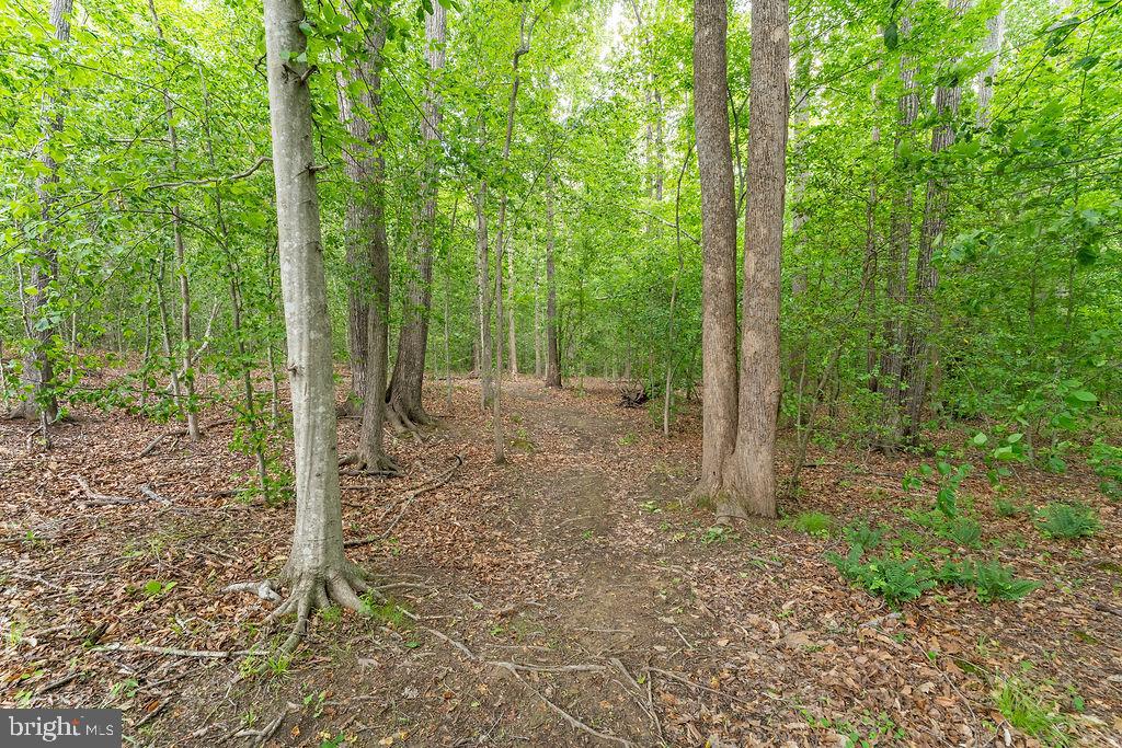 FOREST VIEW ESTATES - Residential
