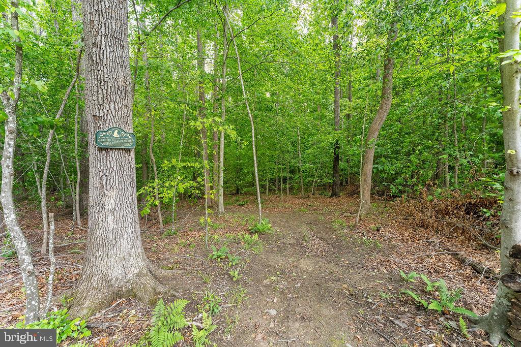 FOREST VIEW ESTATES - Residential
