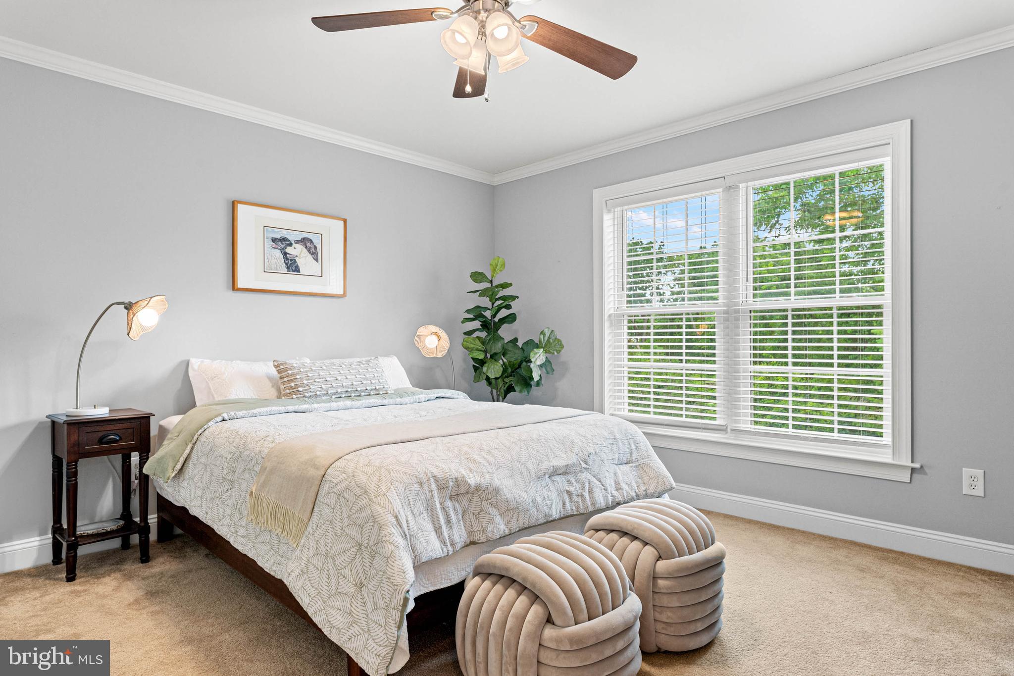 COLD POINT MANOR - Residential