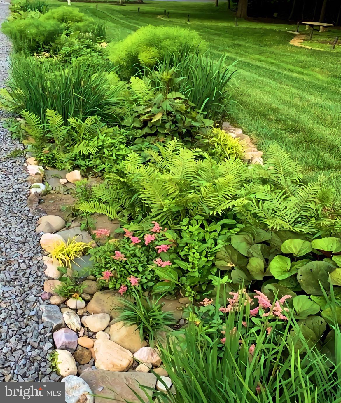 BENNETT FARMS - Residential