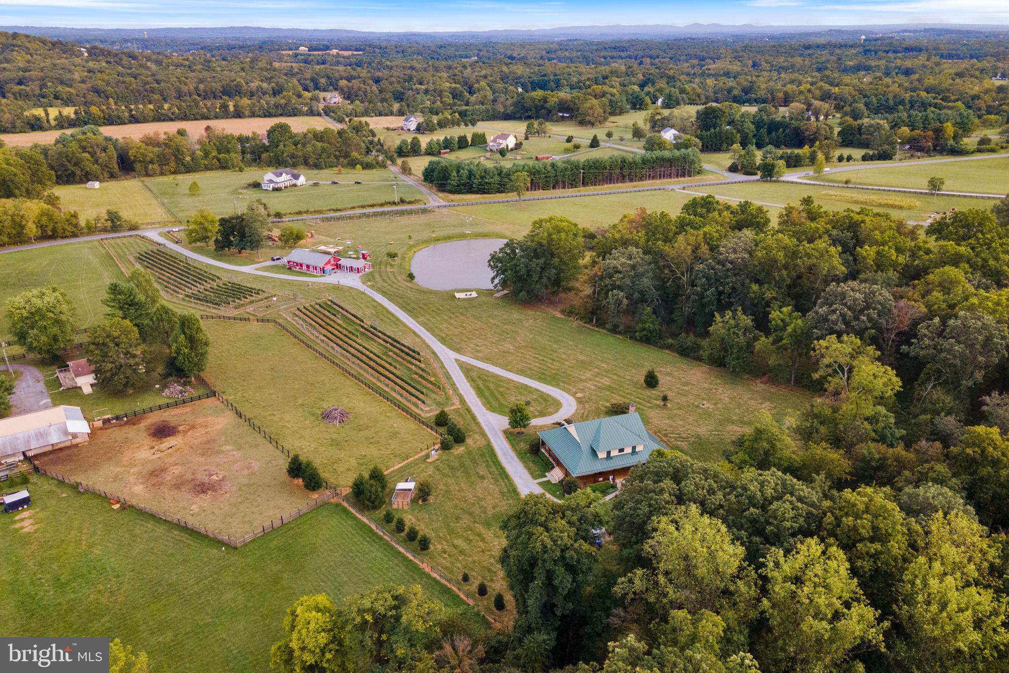 HOUGH FARM - Farm