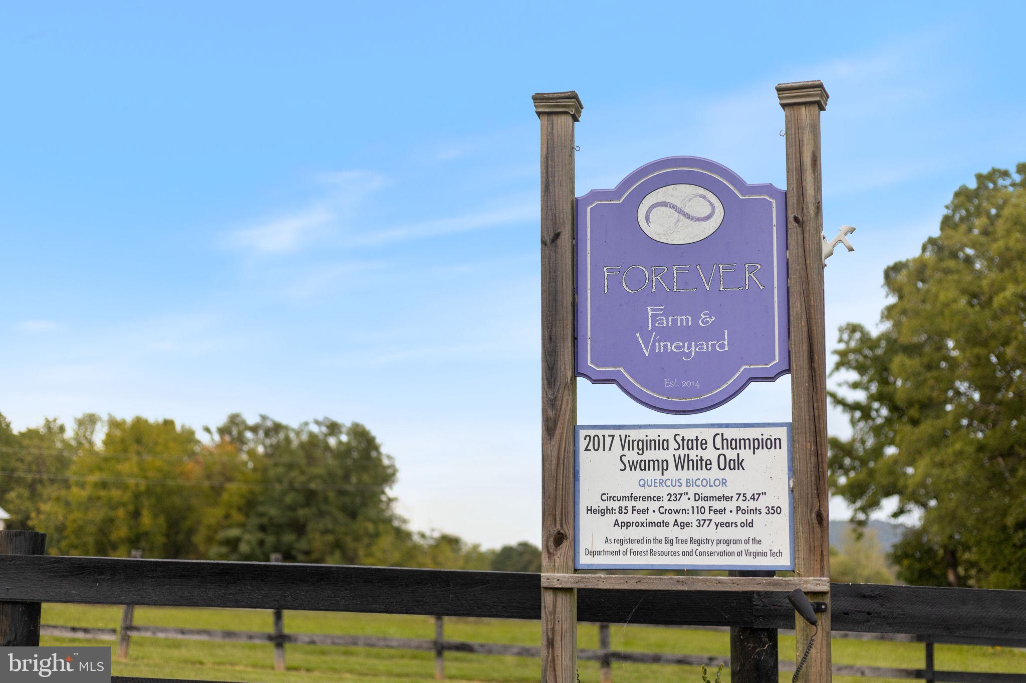 HOUGH FARM - Farm