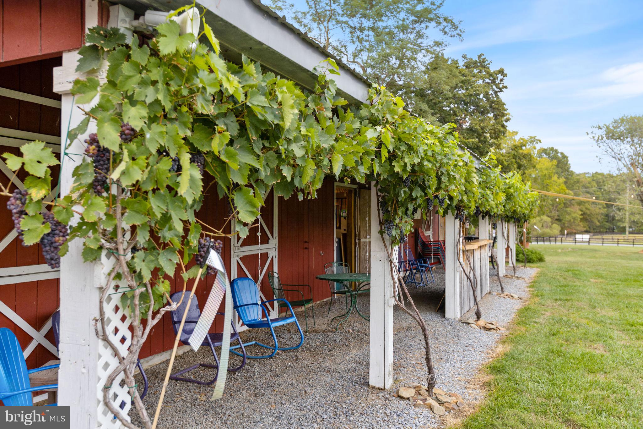 HOUGH FARM - Farm