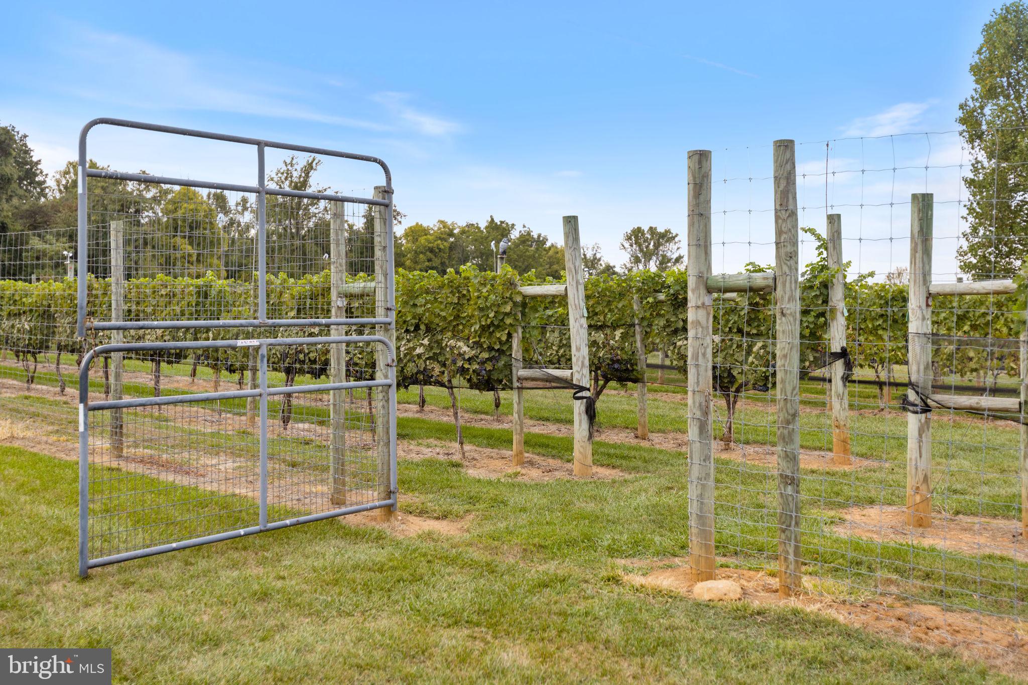 HOUGH FARM - Farm