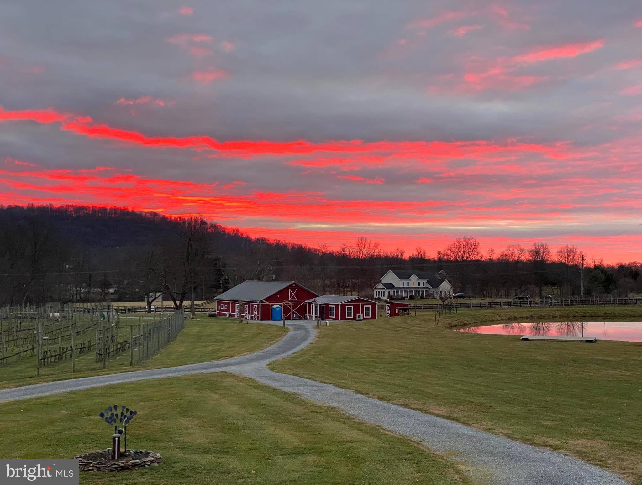 HOUGH FARM - Farm
