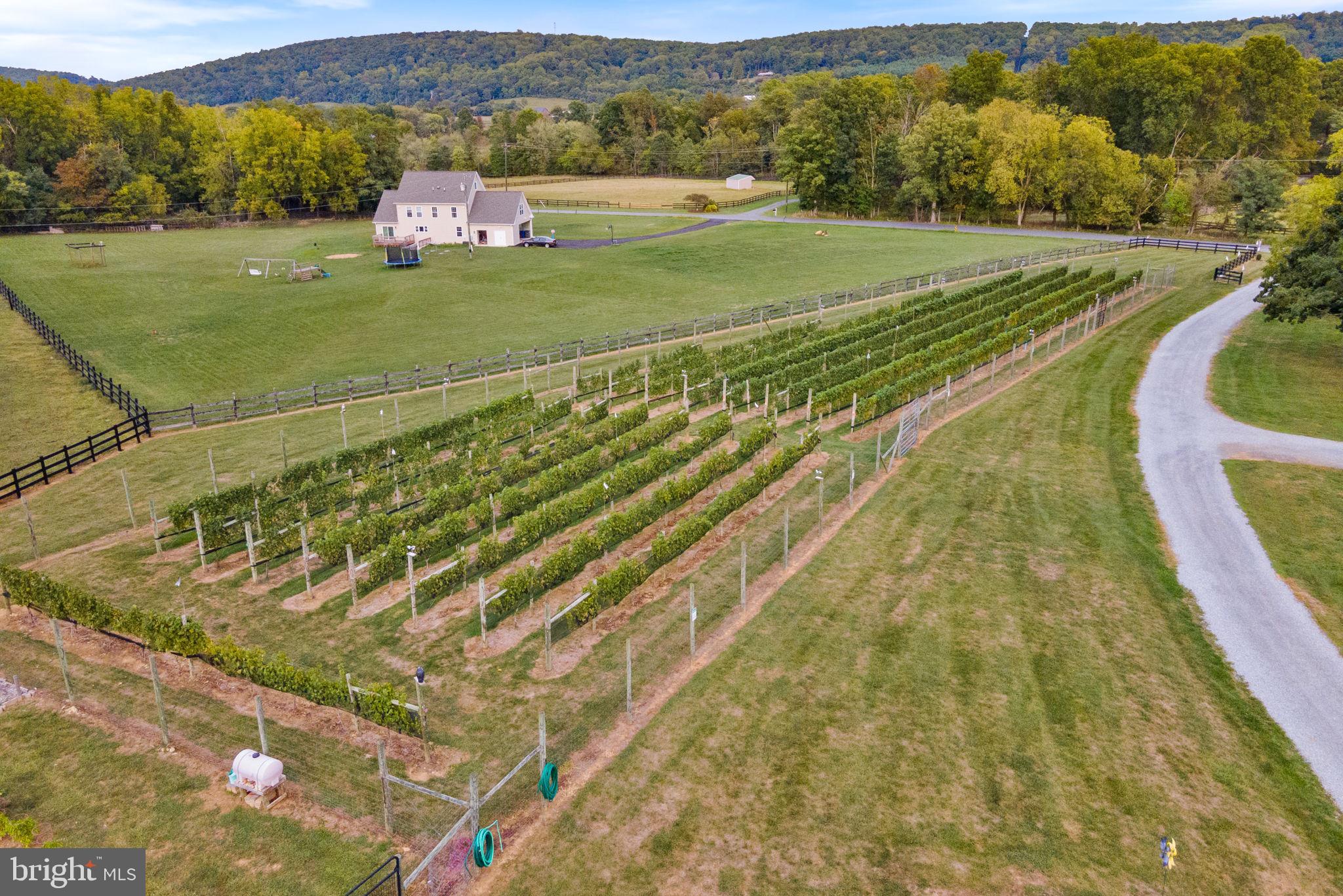 HOUGH FARM - Farm