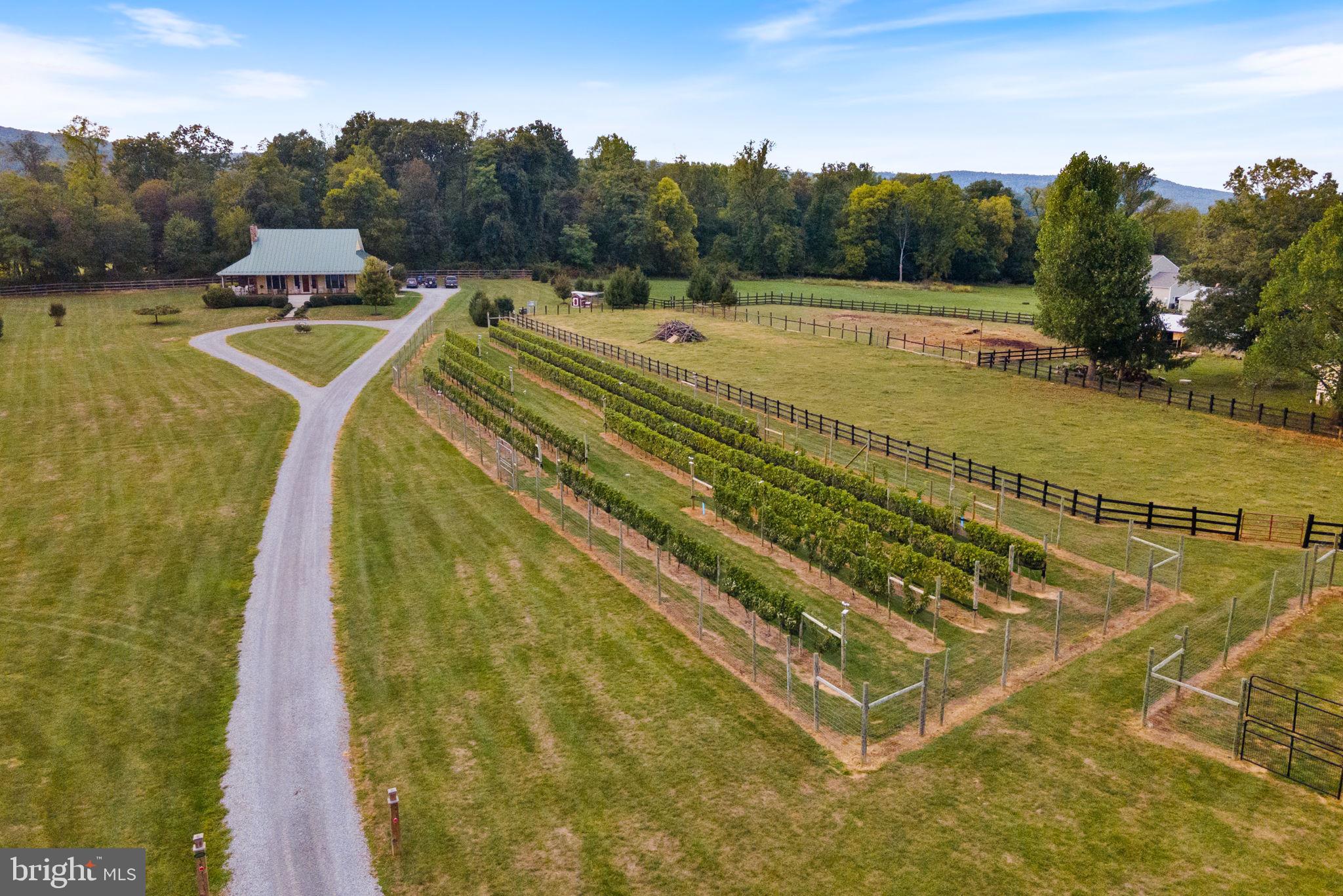 HOUGH FARM - Farm