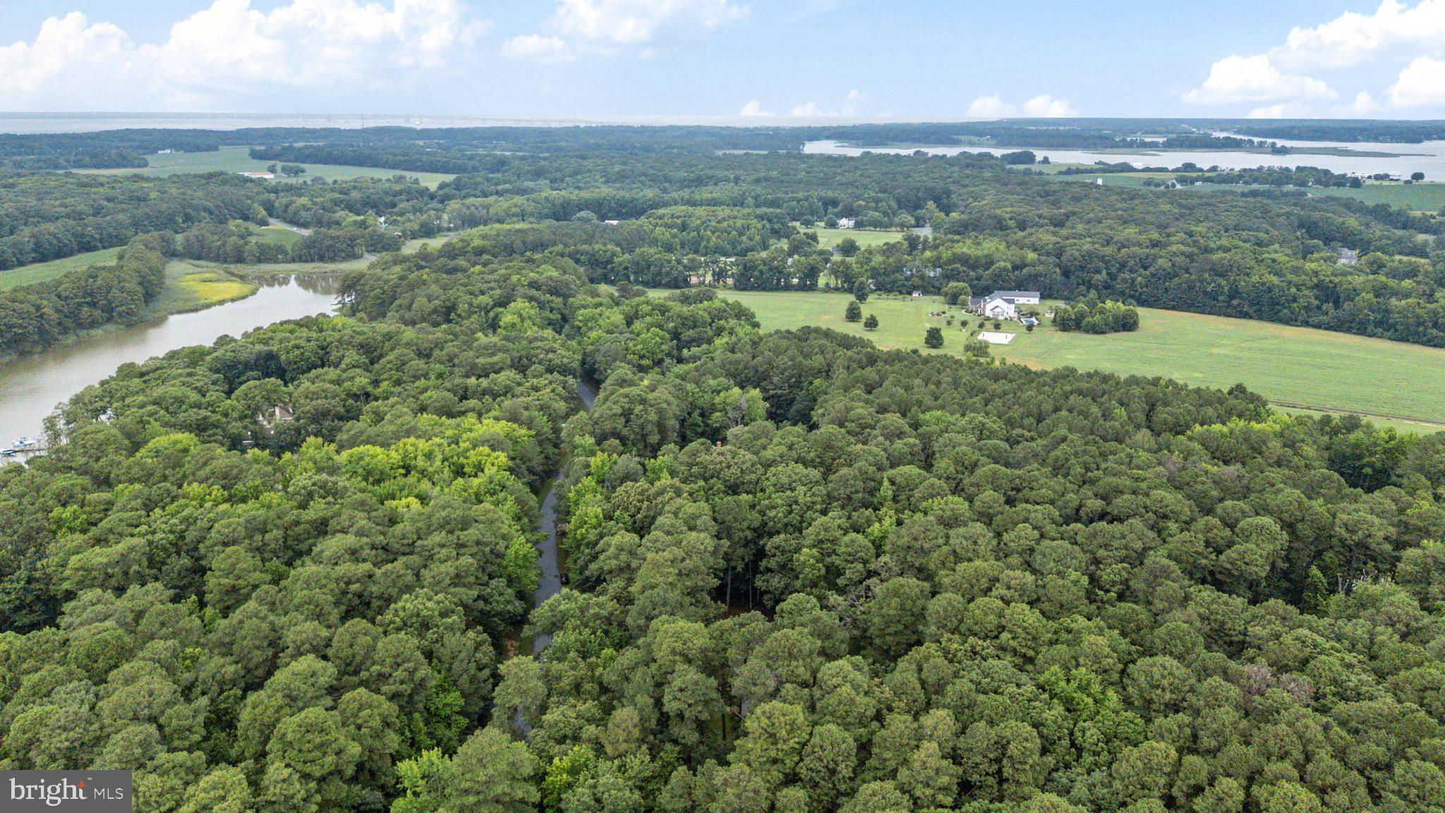 GOOSE POINT ESTATES - Residential