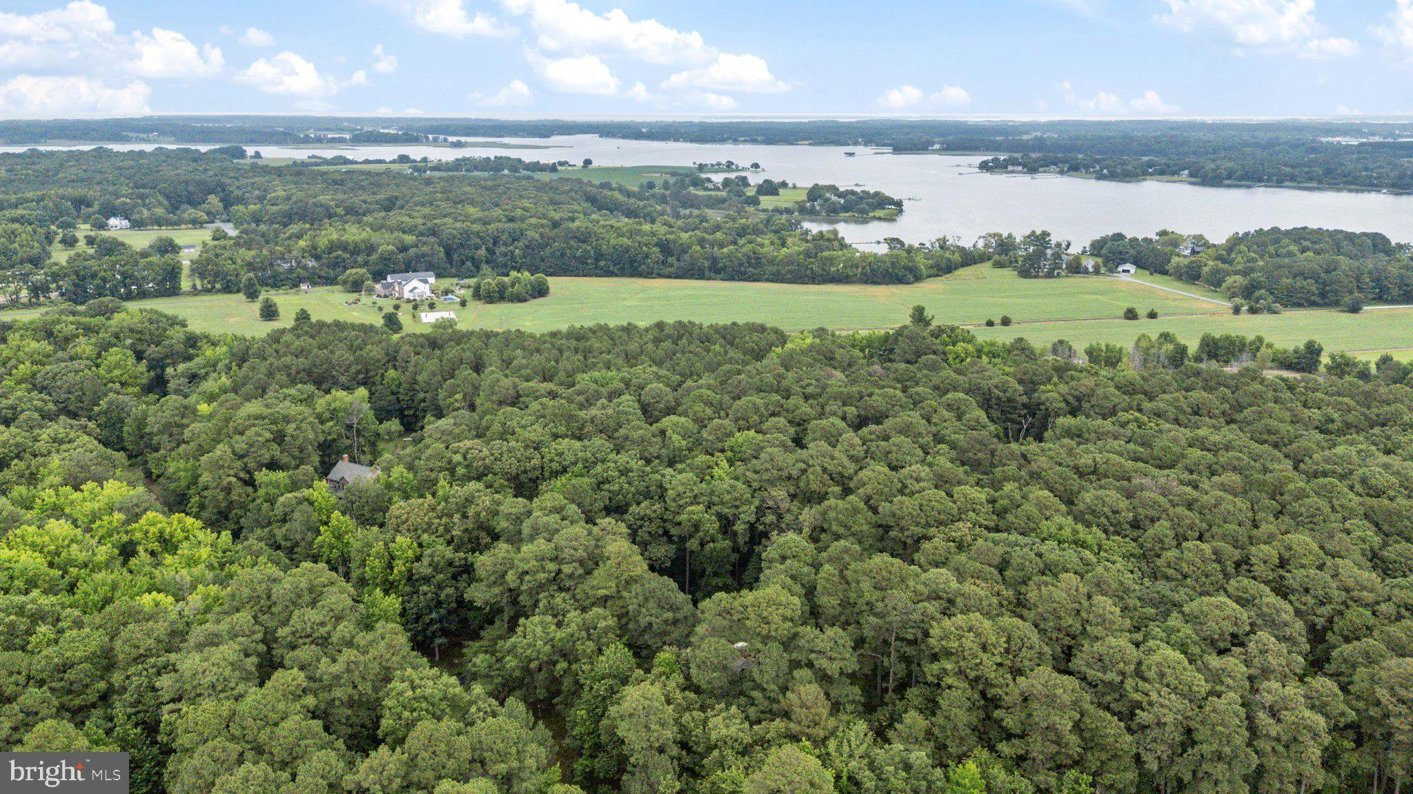 GOOSE POINT ESTATES - Residential