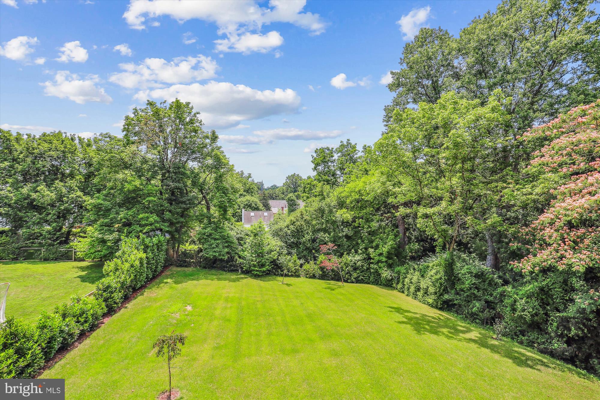CHEVY CHASE VIEW - Residential