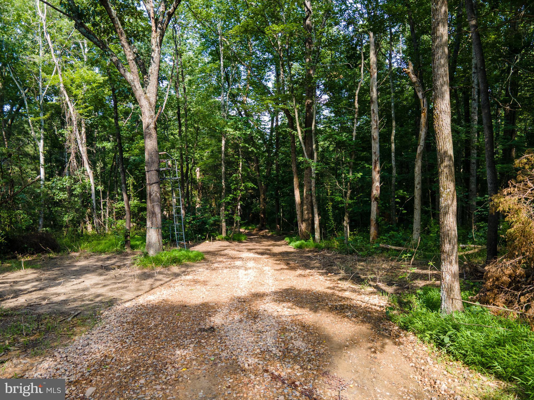 Versatile Wooded Acreage! 4.7 wooded acres centrally located in beautiful Page County VA! This prime acreage is off of US HWY 340 allowing for easy access to all things Page County! Near the Shenandoah River, Luray Caverns and Skyline Drive! Build the retreat you always wanted! The property has no HOA or covenants, allowing for STR use or any multitude of uses. The property is large enough to be subdivided. Maybe you just want to enjoy the abundant wildlife crossing the property! The choice is yours to decide!