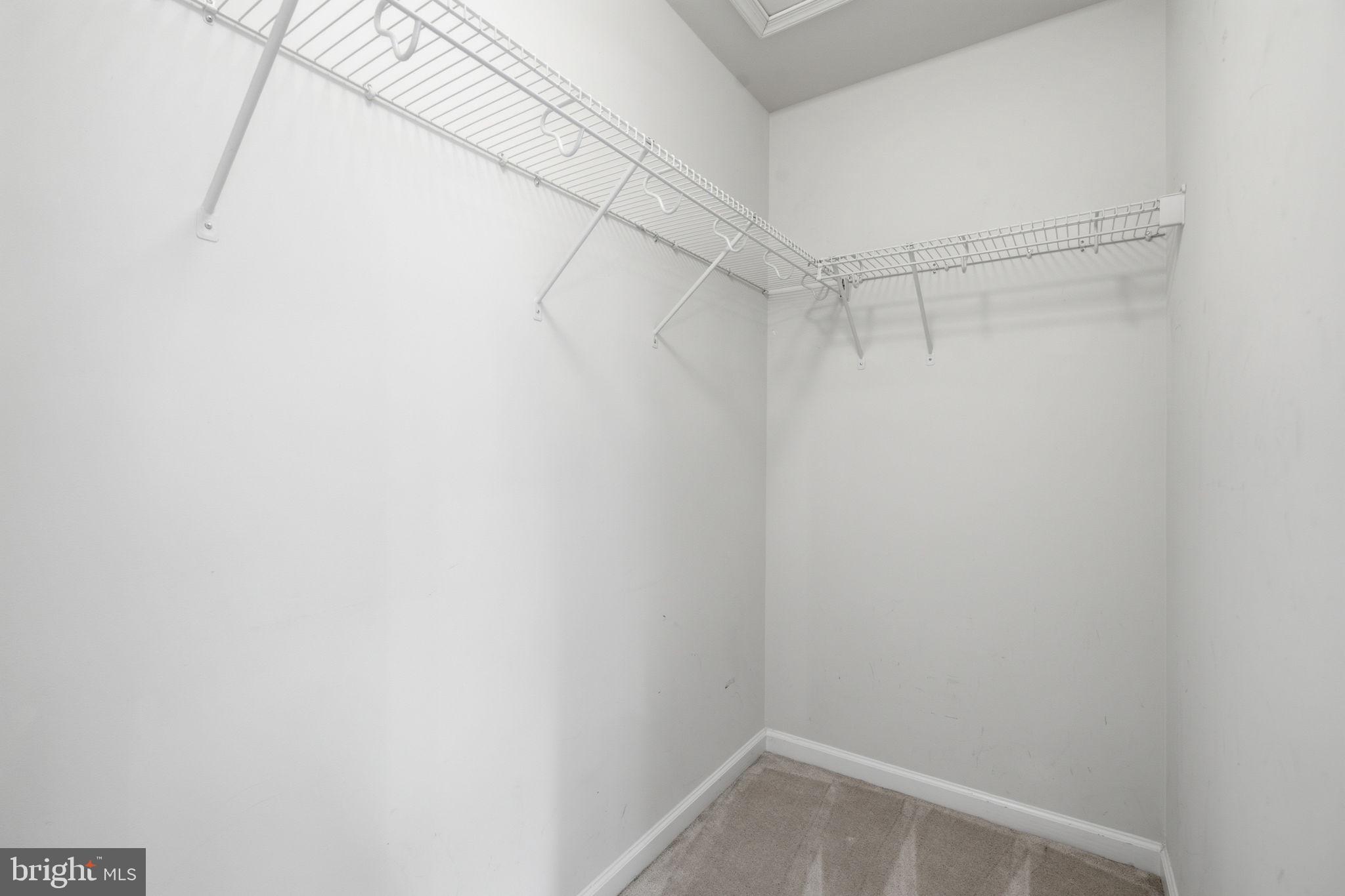 DORCHESTER VIEW - Residential