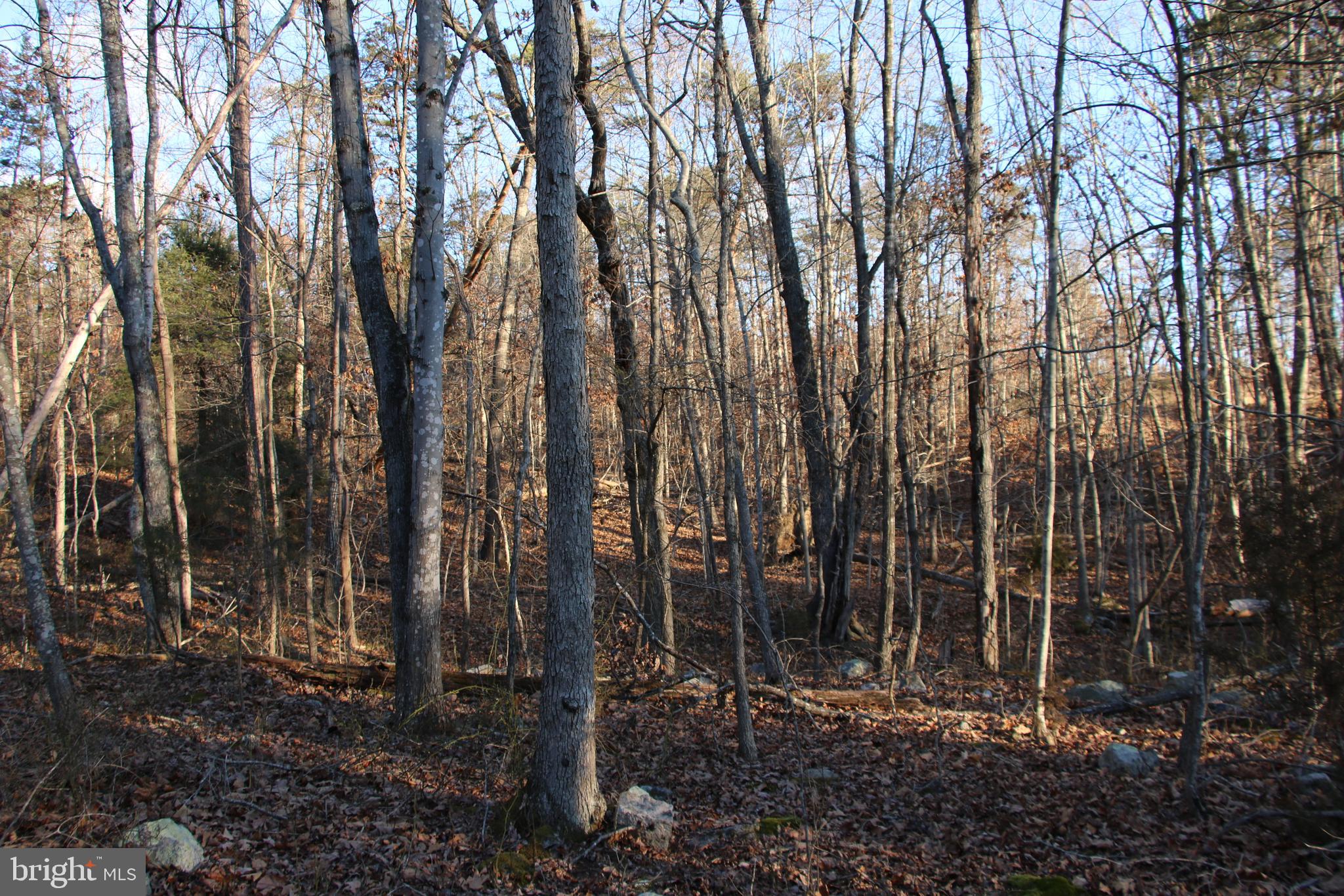 Conveniently located just a few miles west of Shenandoah at the base of First Mountain. This premier lot is part of the Shipwreck Farms Community and access is secured by road frontage on Lookout Drive. Ownership in this community includes access to all the fun and adventure the Shenandoah River has to offer. This prime lot is zoned Residential and is near the expansive George Washington National Forest. With end of the road privacy and seclusion this would make a terrific location for your next country home or vacation rental. Utilities are nearby making for affordable connections. Fully wooded parcel with a good mix of hardwood and softwood trees. Enjoy hiking, camping, and recreation of all types on this lot. The topography is gently sloping and builder friendly.

***Soil will support a 3 bedroom alternative septic system. Owner is in the process of acquiring a septic certification letter.***