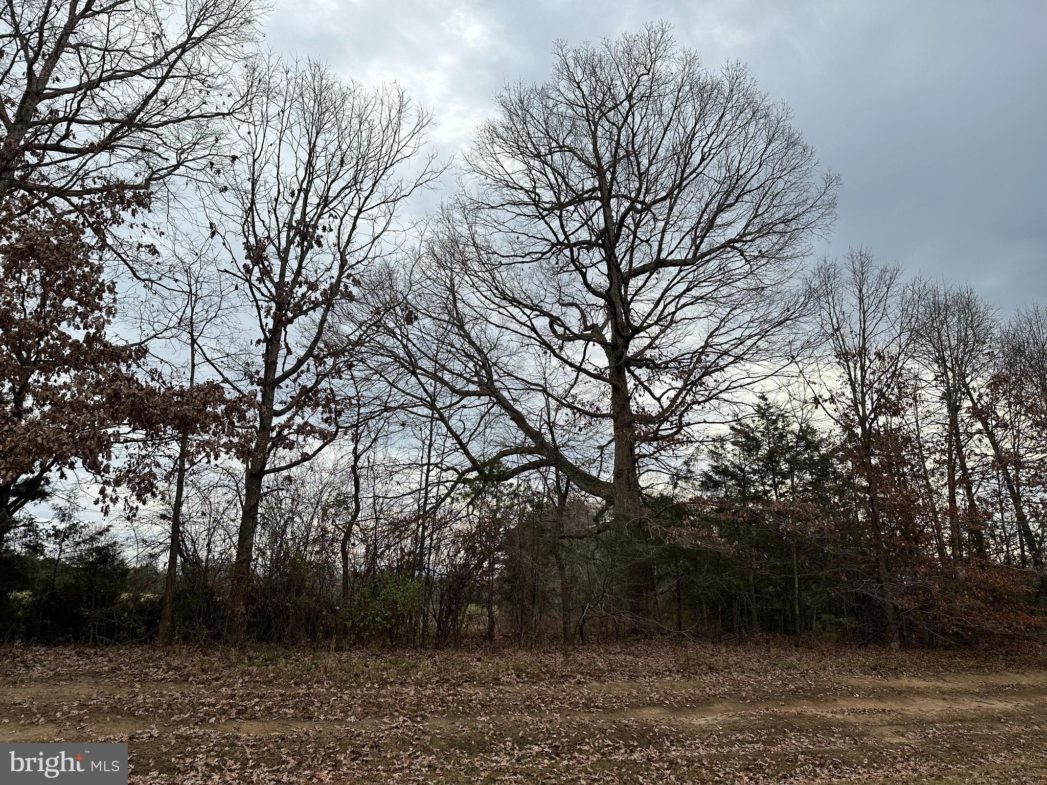 NONE AVAILABLE - Land