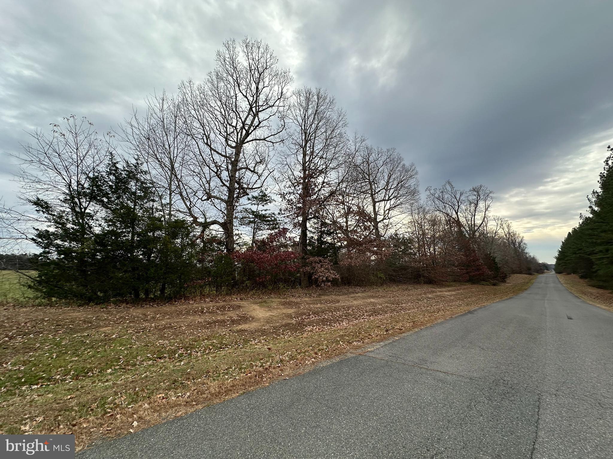 NO HOA! Come build your dream home on this partially cleared lot just minutes from Lake Anna. 
Great location close to Tim's restaurant, Lake Anna State Park, 45 minutes from Fredericksburg, 50 minutes from Charlottesville, 60 minutes from Richmond and less than two hours from DC.