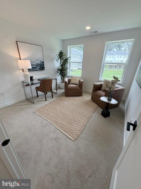 STONEMILL VILLAGE - Residential