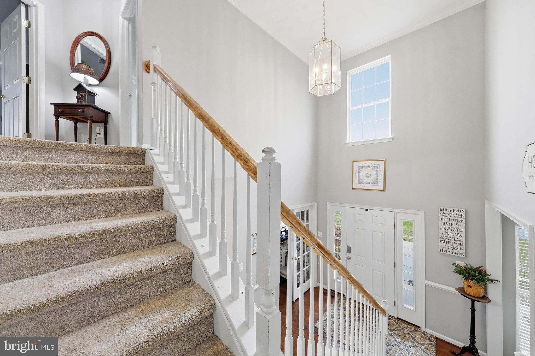 HAMPTONS OF BRIGHTWOOD - Residential