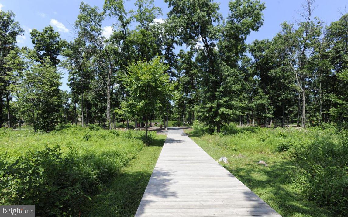 ONE LOUDOUN - Residential