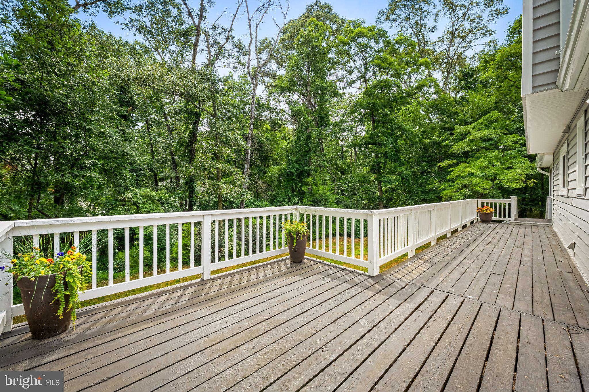 SHIPLEYS CHOICE - Residential