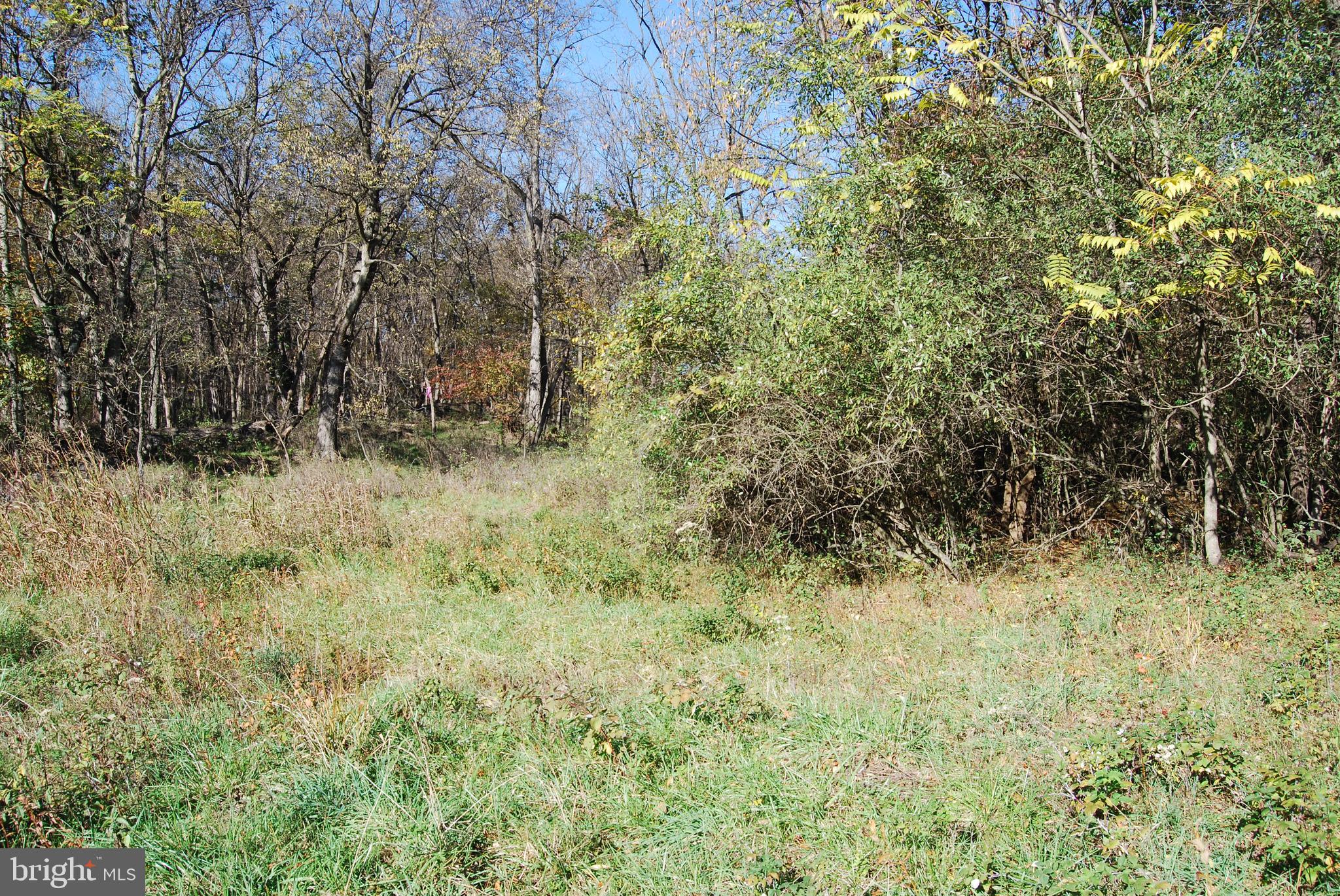 BELLWOODE - Land