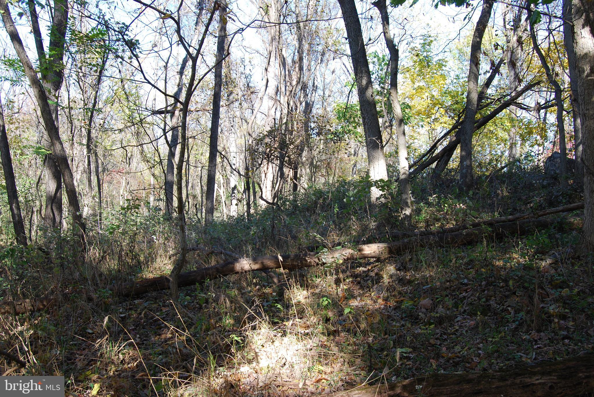 BELLWOODE - Land