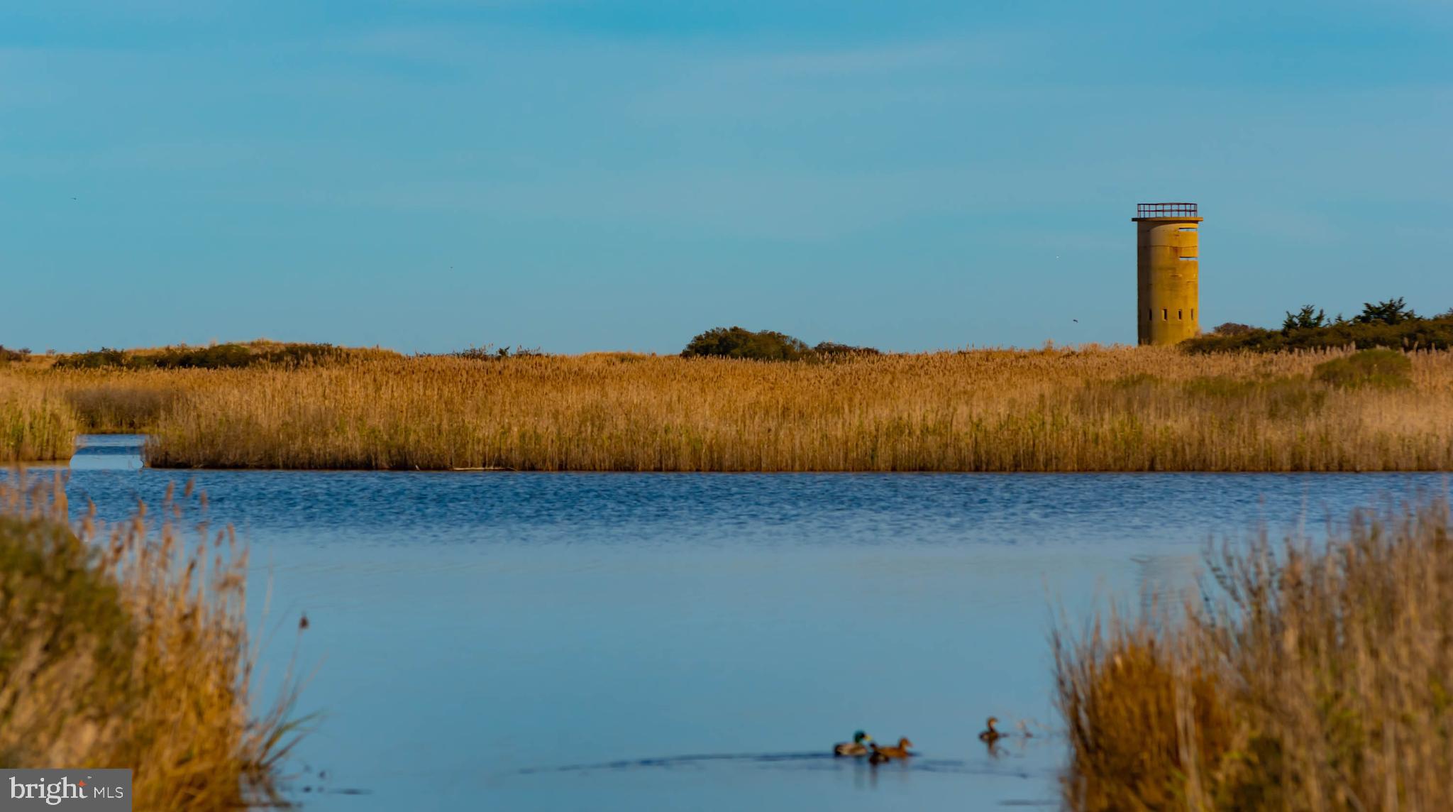 NORTH REHOBOTH - Residential