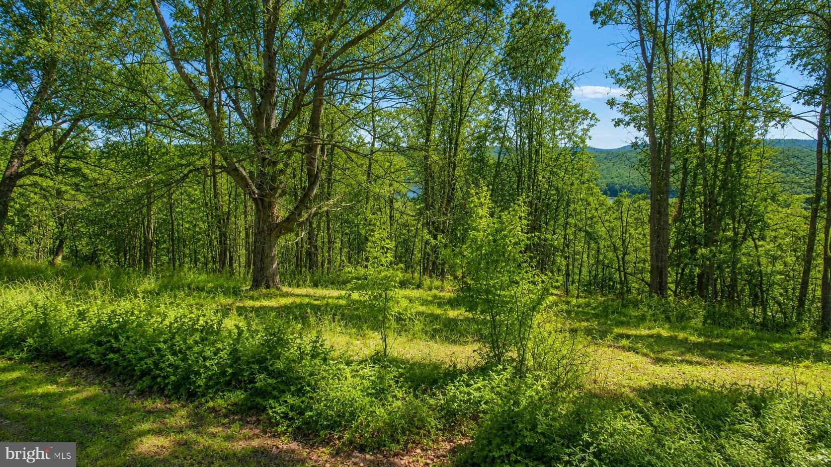 PARADISE RIDGE - Land