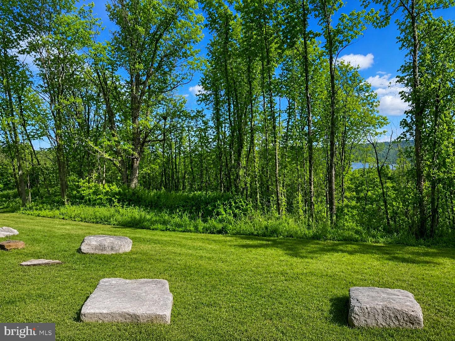 PARADISE RIDGE - Land