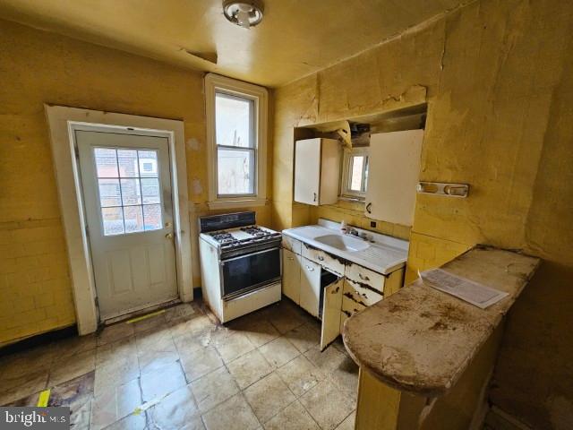 ALLEGHENY WEST - Residential
