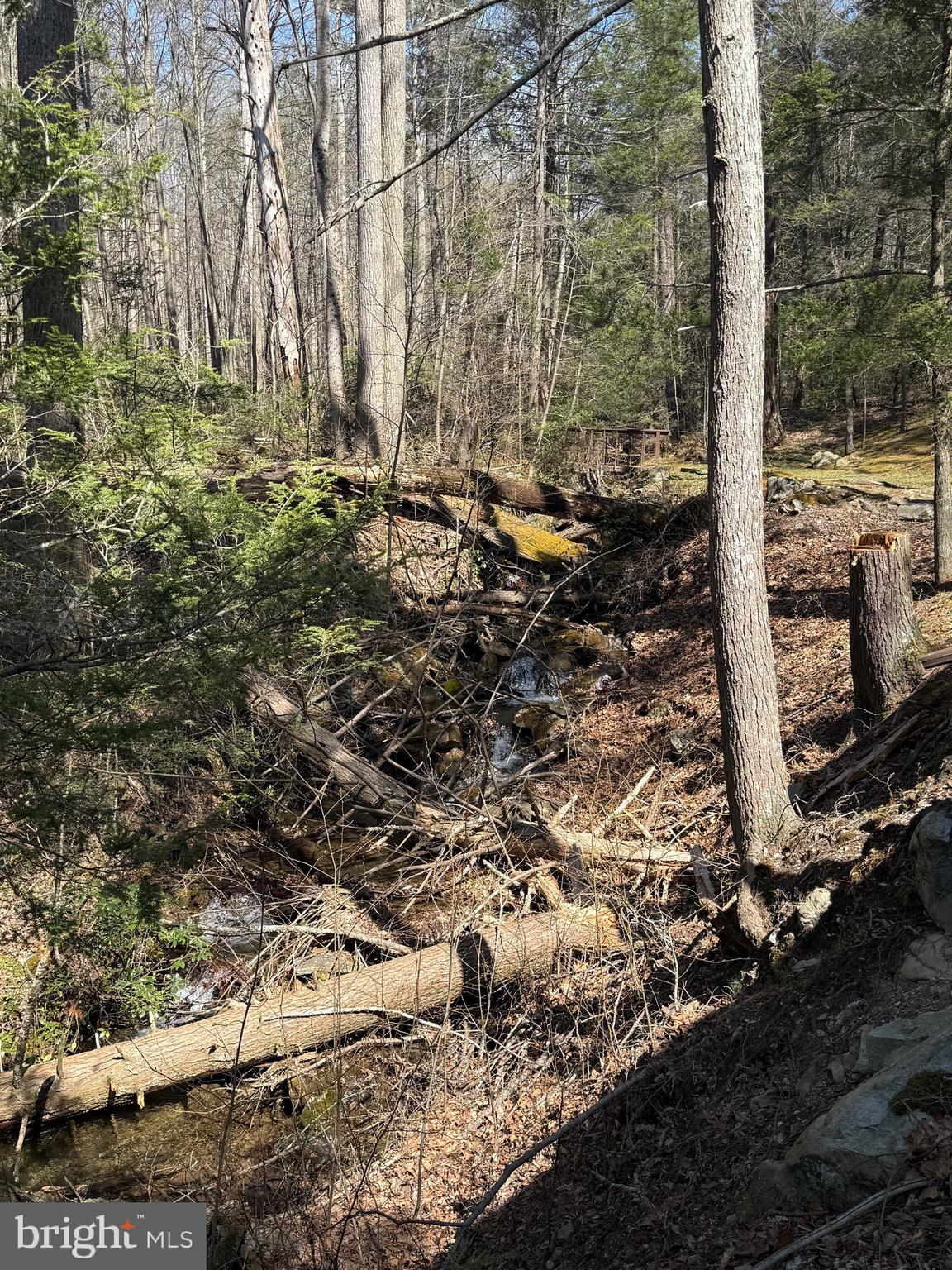 MICHAUX STATE FOREST - Residential