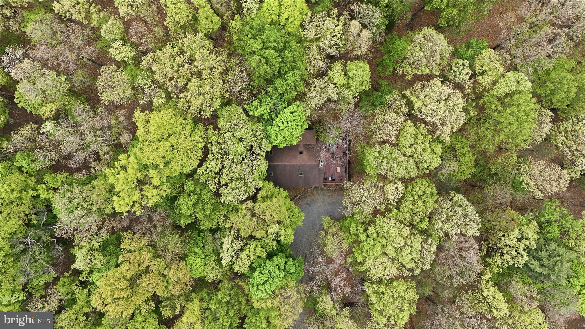 THE CROSSING AT GREAT CACAPON - Residential