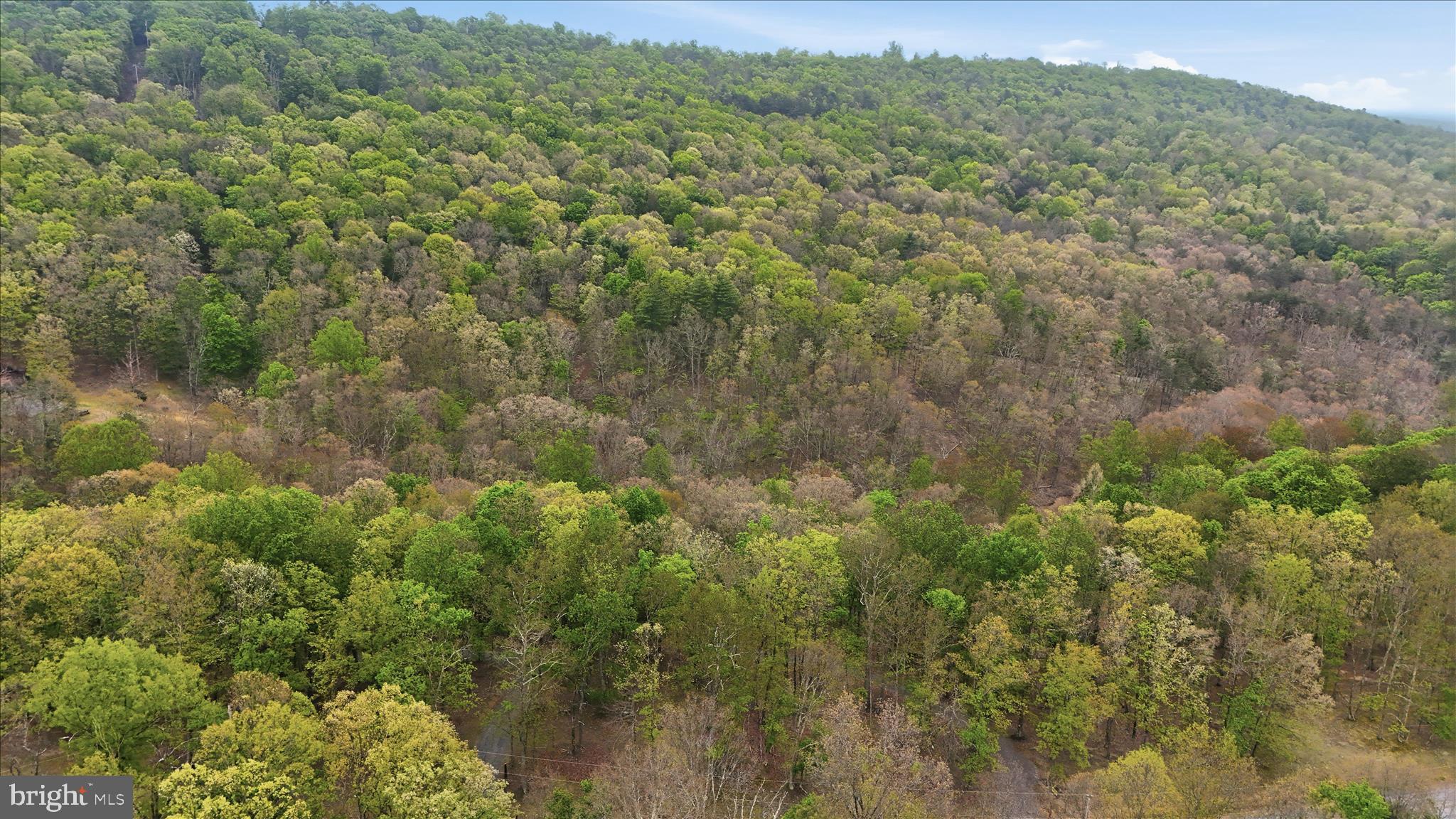 THE CROSSING AT GREAT CACAPON - Residential