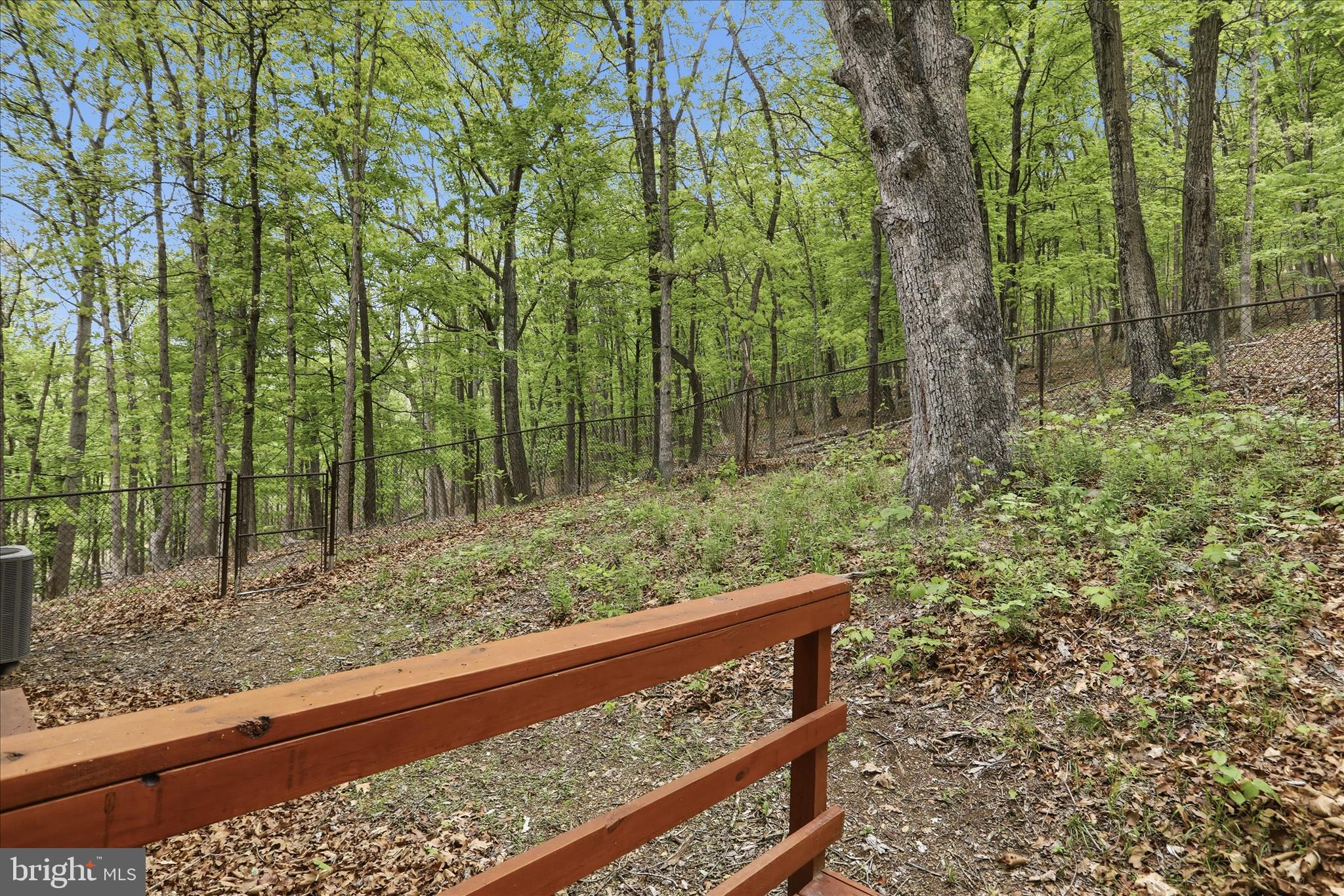 THE CROSSING AT GREAT CACAPON - Residential