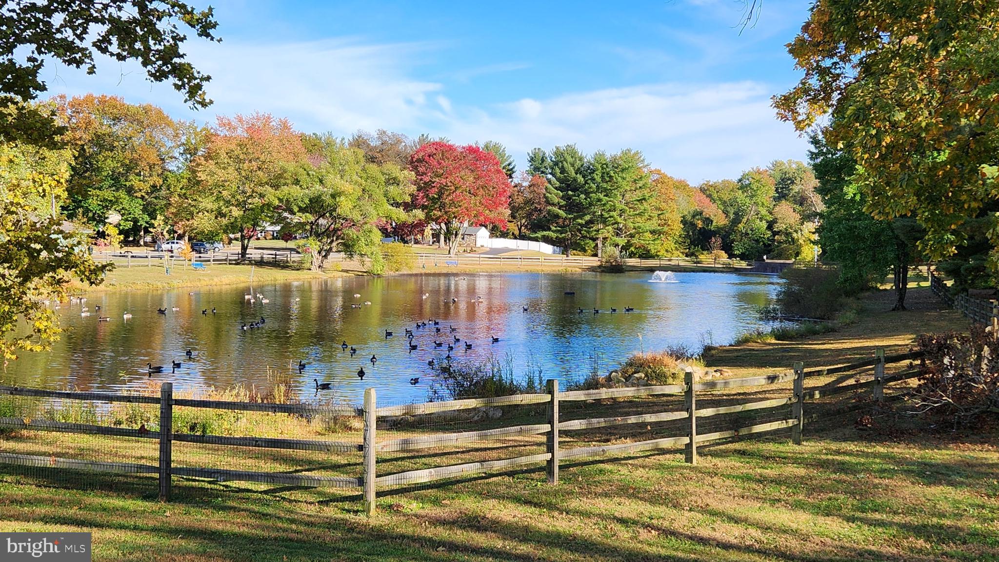 ALBIDALE - Residential