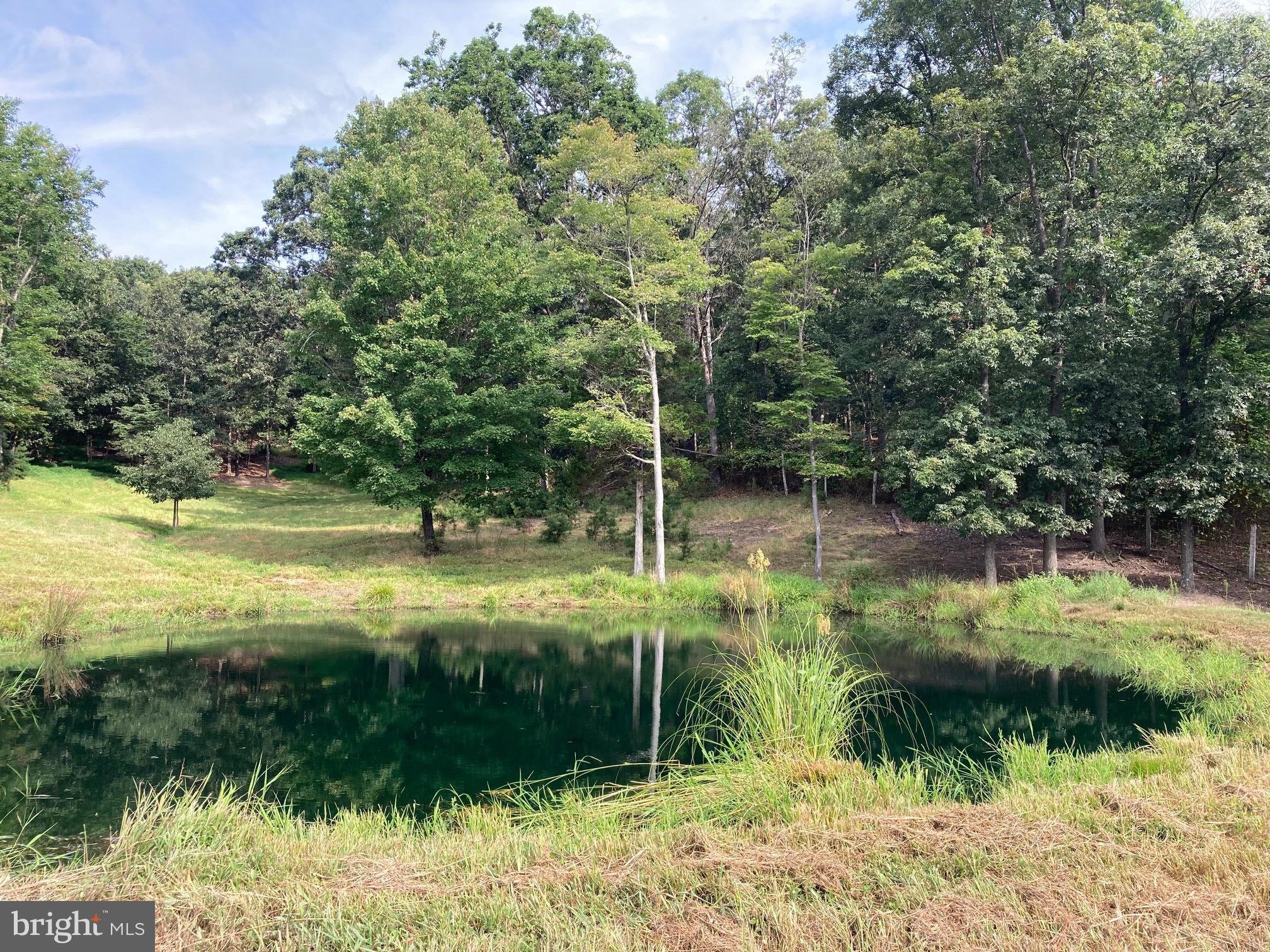 Gentle stretches of open meadow roll into quiet, wooded groves where sunlight filters through the trees. Hidden among them, peaceful little ponds shimmer like jewels, inviting you to pause and simply breathe. Imagine sundrenched mornings, afternoons exploring your own private trails, and evenings watching the sky glow across wide open fields.  Whether you long to build a cozy retreat, a forever home, or simply claim a sanctuary all your own, this land is more than just property—it’s a feeling, a place where serenity and possibility meet.”   With plenty of space to roam, relax, and breathe freely, it’s the perfect backdrop for the lifestyle you’ve been waiting for.”

Escape to a serene retreat of rolling meadows, shady woodlands, and sparkling little ponds.  Here, the land is alive—deer wander gracefully through the trees, wild turkeys stride across the fields, and songbirds fill the air with music.  Bring your horses, cows, goats, or sheep to graze the open pastures, or simply enjoy the peace of living alongside nature.  This is more than just land—it’s a private sanctuary where farm life, wildlife, and natural beauty come together in perfect harmony.”
In the summer, kids might toss in a line, pulling out a perch or even a fat catfish.  Families might watch dragonflies skimming the water’s edge.   At night, fireflies light up the grasses around the pond, adding to the magic.