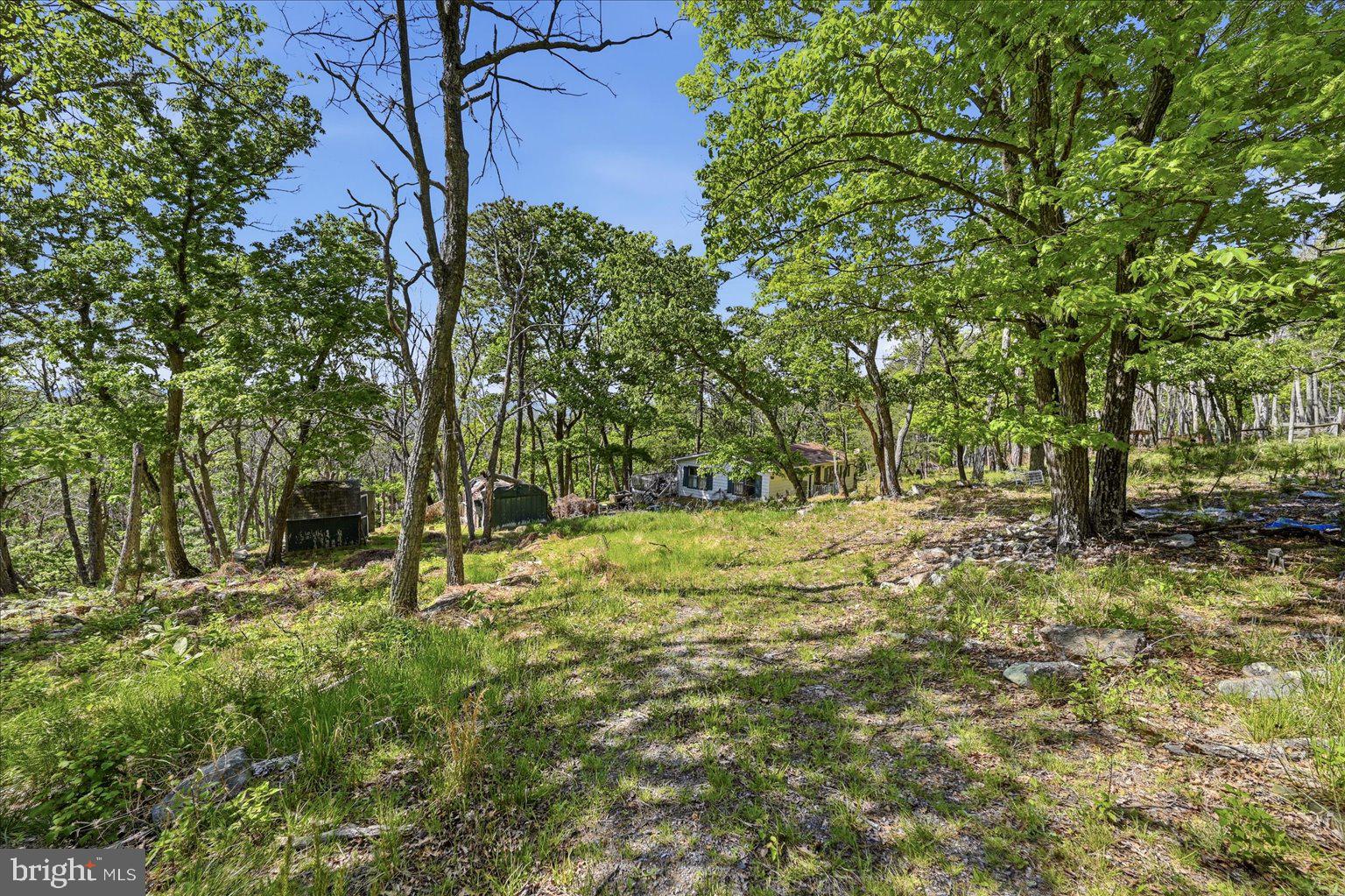 Tucked away in the scenic mountains, this rare 6+ acre property offers the perfect opportunity to create your own retreat. Surrounded by breathtaking mountain views and peaceful privacy, the land provides a beautiful setting for a full time residence, weekend getaway, or investment property. A prior homesite exists on the property and is considered a total rehab and/or tear down, but valuable improvements remain in place including well, septic, and existing utilities, helping simplify the building process. Enjoy the serenity of nature while still having access to nearby amenities. Bring your vision and build the mountain escape you’ve been dreaming of.  ***Due to safety concerns, do not enter the existing structure. ***Access to the home is prohibited.***